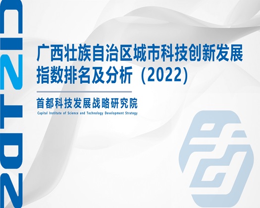 老师搞j抠逼视频【成果发布】广西壮族自治区城市科技创新发展指数排名及分析（2022）